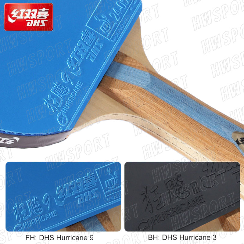 DHS 6 Star Color Table Tennis  - Table Tennis Review recension och pris
