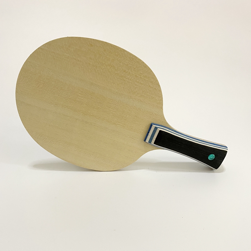 Lemuria VIS Carbon Fiber Table - Table Tennis Review recension och pris