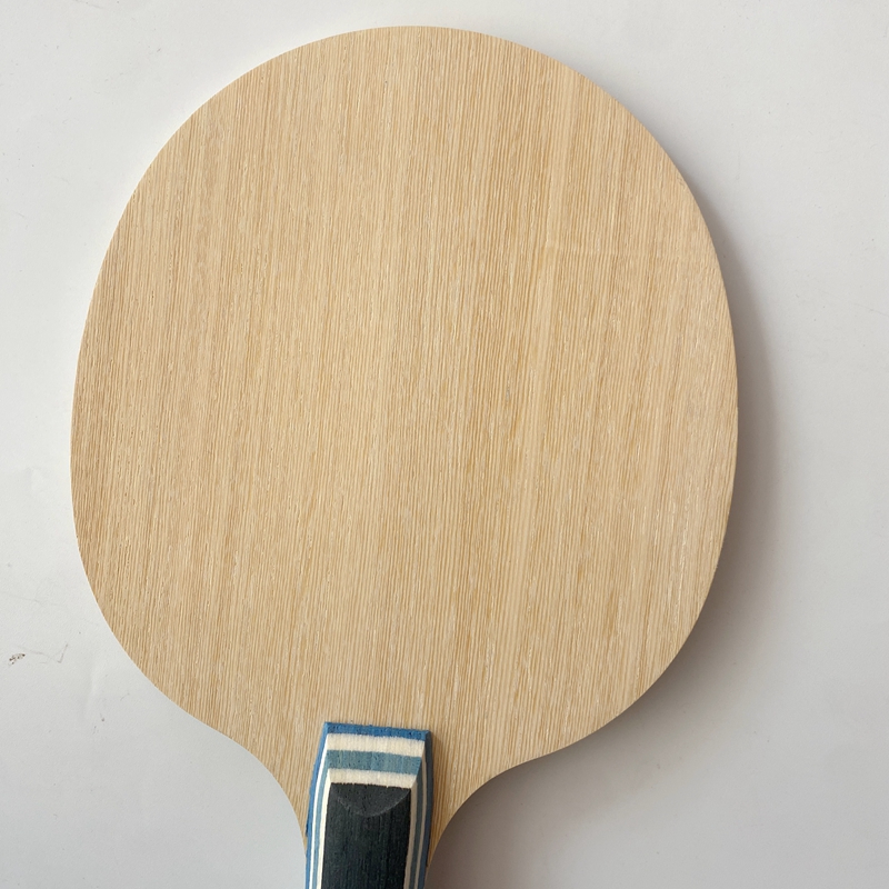 Lemuria VIS Carbon Fiber Table - Table Tennis Review recension och pris