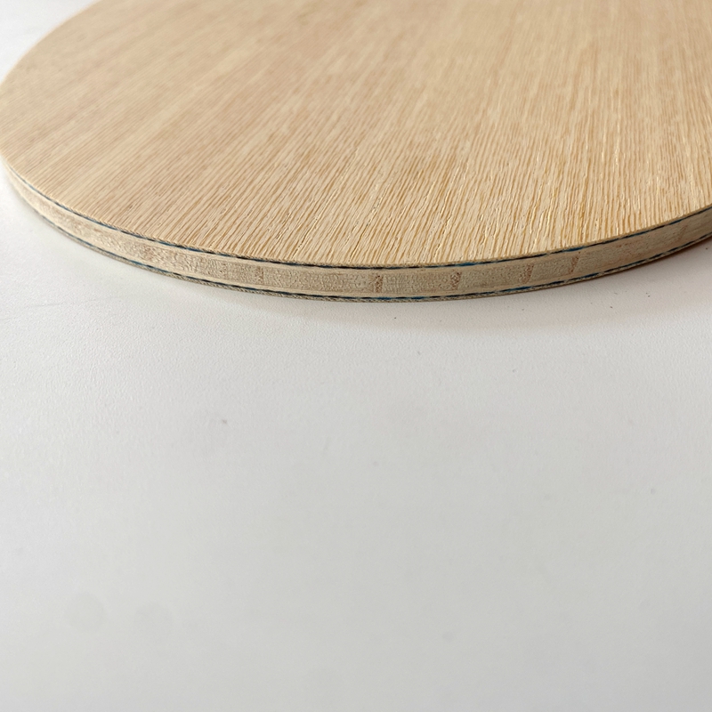 Lemuria VIS Carbon Fiber Table - Table Tennis Review recension och pris