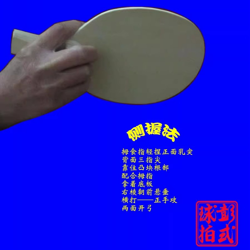 Chinese/Japanese Style Table T - Table Tennis Xiom recension och pris