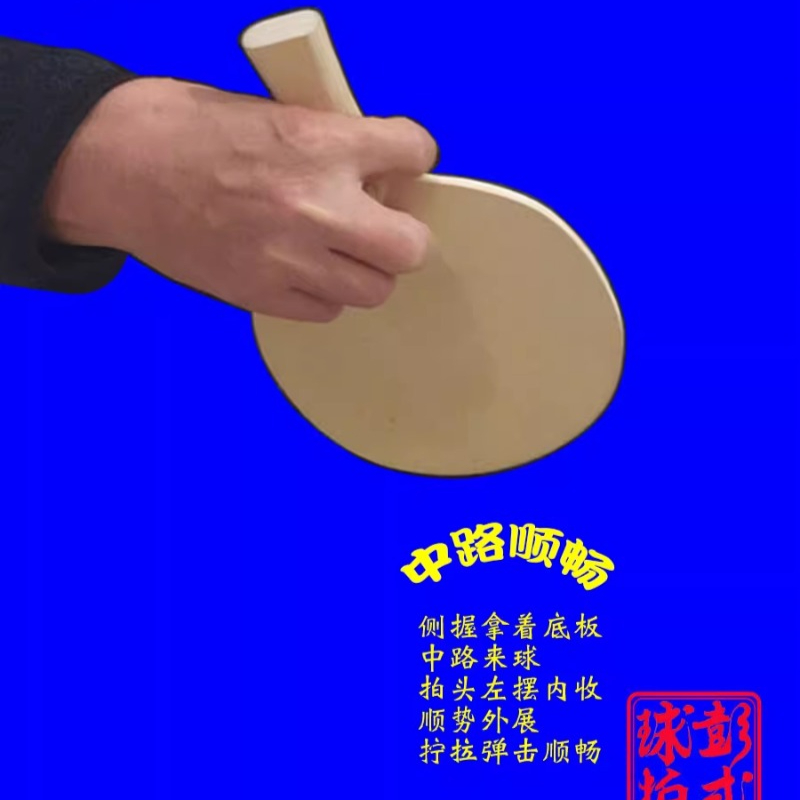 Chinese/Japanese Style Table T - Table Tennis Xiom recension och pris